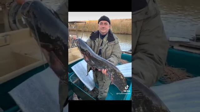 Астрахань рыбалка база отдыха лоцман. Рыбалка огонь ? смотреть онлайн