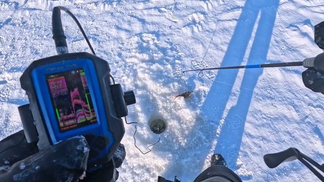 Окунь на балансиры. Пестовское водохранилище смотреть онлайн