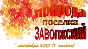 Природа поселка ЗАВОЛЖСКИЙ (1 часть)