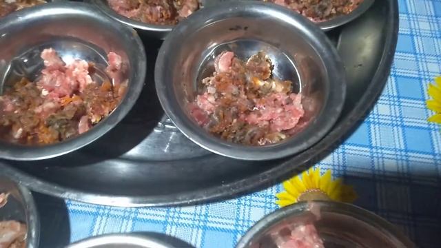 мои чихуахуа сыроеды, ужин,сырое мясо и овощи, видотипичное питание хищников,собак, СИМФЕРОПОЛЬ смотреть онлайн