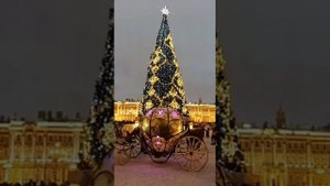 Ваенга. Каменные цветы.