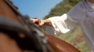 Красный конь. Динамичные ребята