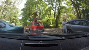 Калининград(Россия) - Нида(Литва). Куршская коса. Граница Россия-Литва.