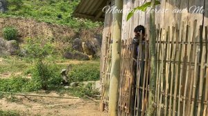 Herbal bath for dogs. make fence. Thank you good people. building life. mountain life (EP.43)