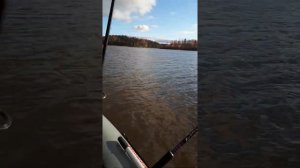 Карелия ладожские шхеры 2017.год Лодка Викинг 360 Тохатсу 9.8 .