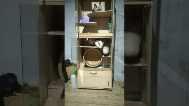 Кто в доме хозяин.