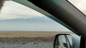 Как доехать из Алматы в Бишкек? | Автодорожный КПП Ак-Жол | Getting from Almaty to Bishkek