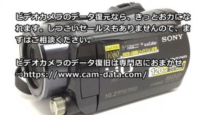 ソニーハンディカムHDR-SR12復元