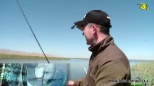 РЫБАЛКА  НА КРАСНОПЕРКУ СПИНИГ  КРУПНАЯ КРАСНОПЕРКА НА БЛЕСНУ