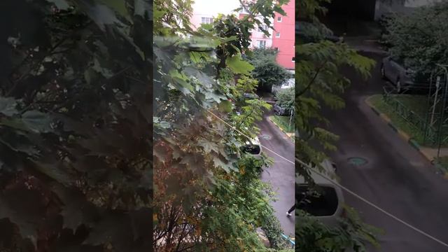 С началом учебного года учеников и их родителей поздравляю!