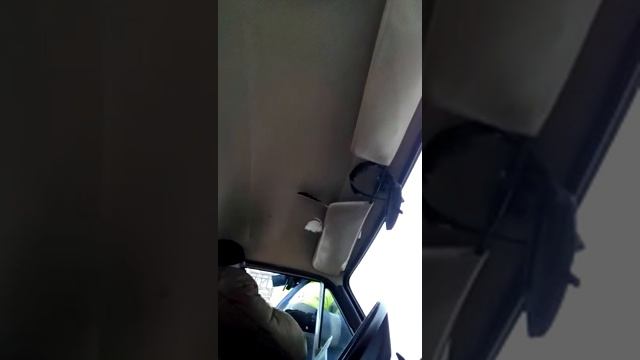 Живой муж в чине и ГИБДД Нижний Новгород 20180131 085233 смотреть онлайн