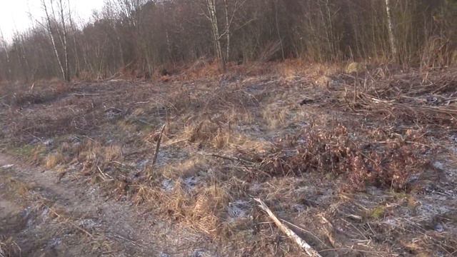 В гостях у Сан Саныча Дыбаля смотреть онлайн