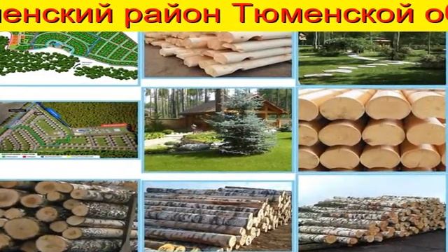 Пиловочник Оптом Недорого