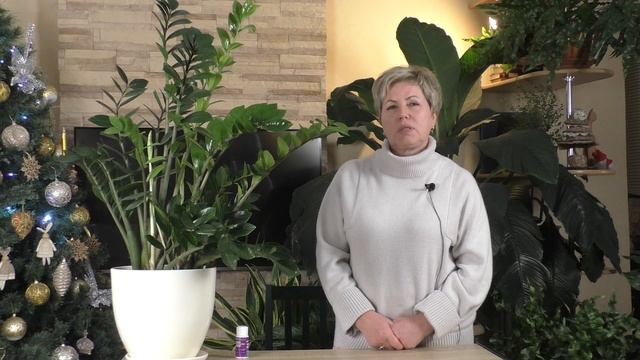 ЭТОТ ЦВЕТОК ПРИНЕСЕТ В ДОМ БОГАТСТВО И СЧАСТЬЕ! смотреть онлайн