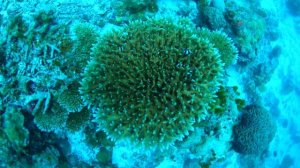 Cinnamon Hakuraa Huraa Malidives Holiday 2020 4K