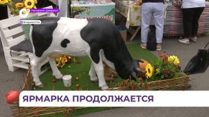 Ярмарка на центральной площади Владивостока продолжает работу