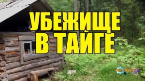ИСТОРИИ из ЖИЗНИ ЛЕСНИКА НА НОЧЬ СУДЬБА ЖИЗНЬ МЕДВЕДИ ВОЛКИ в ЛЕСУ СЕРИАЛ ВСЕ СЕРИИ
