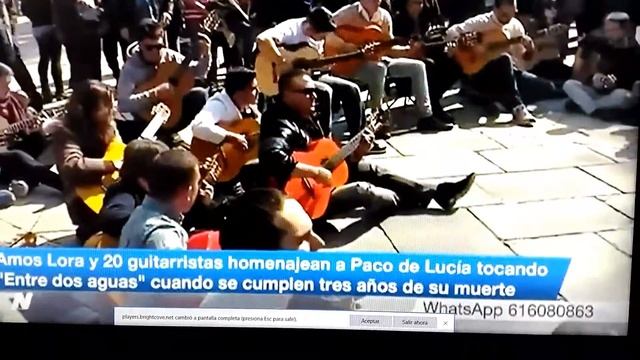 Alex Silva guitarrista de Jazz y flamenco compartiendo con Amos Lora homenaje a Paco De Lucía Tele смотреть онлайн