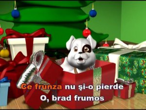 O brad frumos.