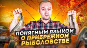 Что мы едим? | «Понятным языком»