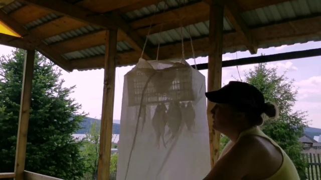 Сушилка для рыбы своими руками. Как вялить рыбу. смотреть онлайн