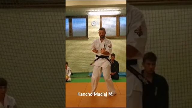 Tensho Kata by Kancho Maciej M. #karate #kyokushin #training #blackbelt #martialart #ibuk