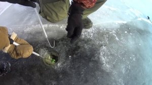 Лучшие ВИБЫ и РАТТЛИНЫ на СУДАКА. Полный ОБЗОР моей КОРОБКИ на хищника