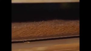 Производство кокосовой койры