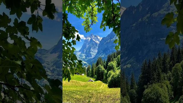 Произведение «Напарник » Автор Парвиз. смотреть онлайн