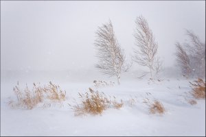 Артём Гельман - Иосифу Бродскому