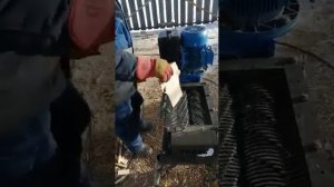 Шредер 2в-4кВт Измельчение горбыля ( видео от покупателя)