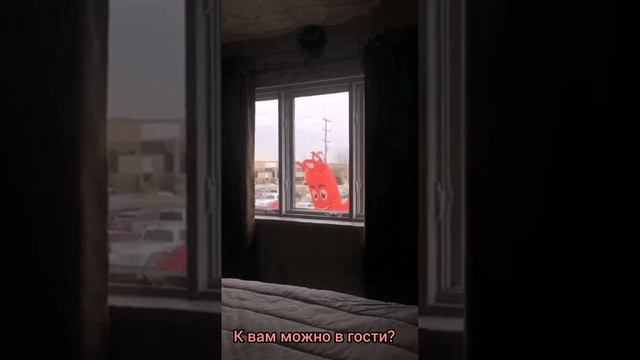 А можно к вам в гости? ?