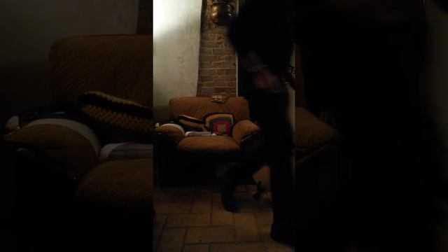 Ibanez ael 108 MD 8 corde смотреть онлайн