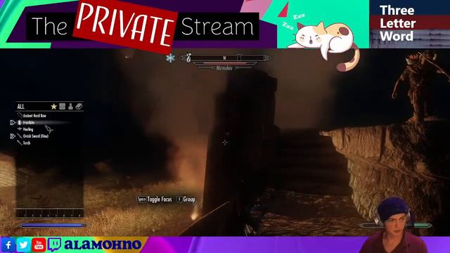 The PRIVATE Stream - Skyrim смотреть онлайн