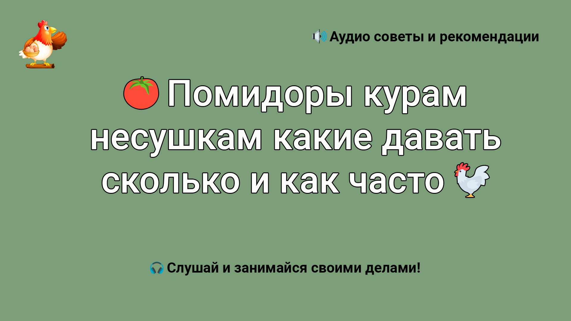 Помидоры курам