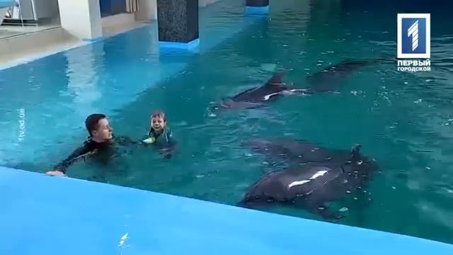 Воздействие дельфинотерапии на аутистов смотреть онлайн