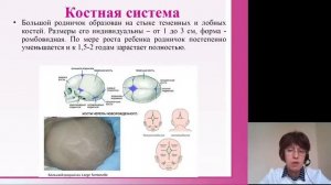 Пропедевтика детских болезней. АФО новорожденного ребенка