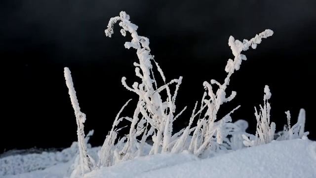 Rhapsody in blue смотреть онлайн