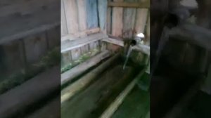 Село Казаково. Овраг.
