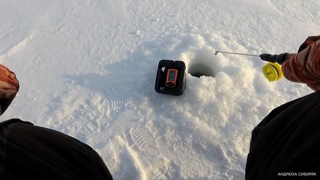 ТРУДОВАЯ РЫБАЛКА НА СУДАКА!!!! И Я УШЕЛ ОТ НУЛЯ.#рыбалка#fishing#ловлясудака#АндрюхаСибиряк#