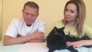 Что делать, если кот гадит после кастрации?