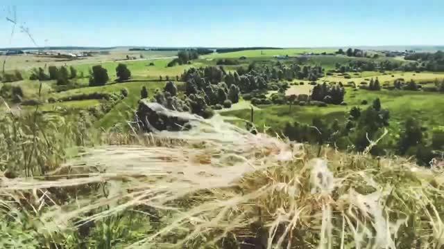 Природа республики Башкортостан. 2020г.