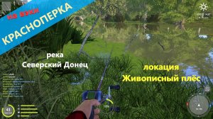 Русская рыбалка 4 - река Северский Донец - Красноперка на вэки