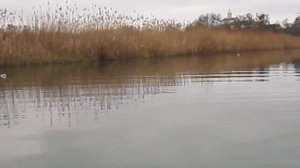 Ловля щуки на бутылку. Fishing in a plastic bottle