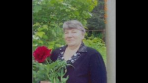 Бортсурманы