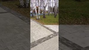 коррупция города Полысаево. в кемеровской области.