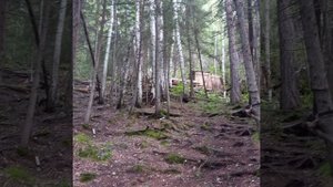 КАВЗ 39766. полный привод 4х4. движок д245.е2.