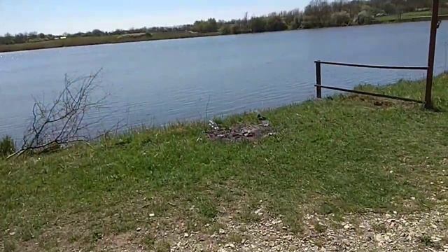 Трудовые будни на карантине.Как поживает малина_Вести с полей_ благоустройство участка..mp4 смотреть онлайн