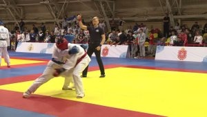 Рукопашный бой вопросы для экзамена оценка действий бойцов