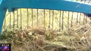 Первая уборка сена граблями ГПС 210